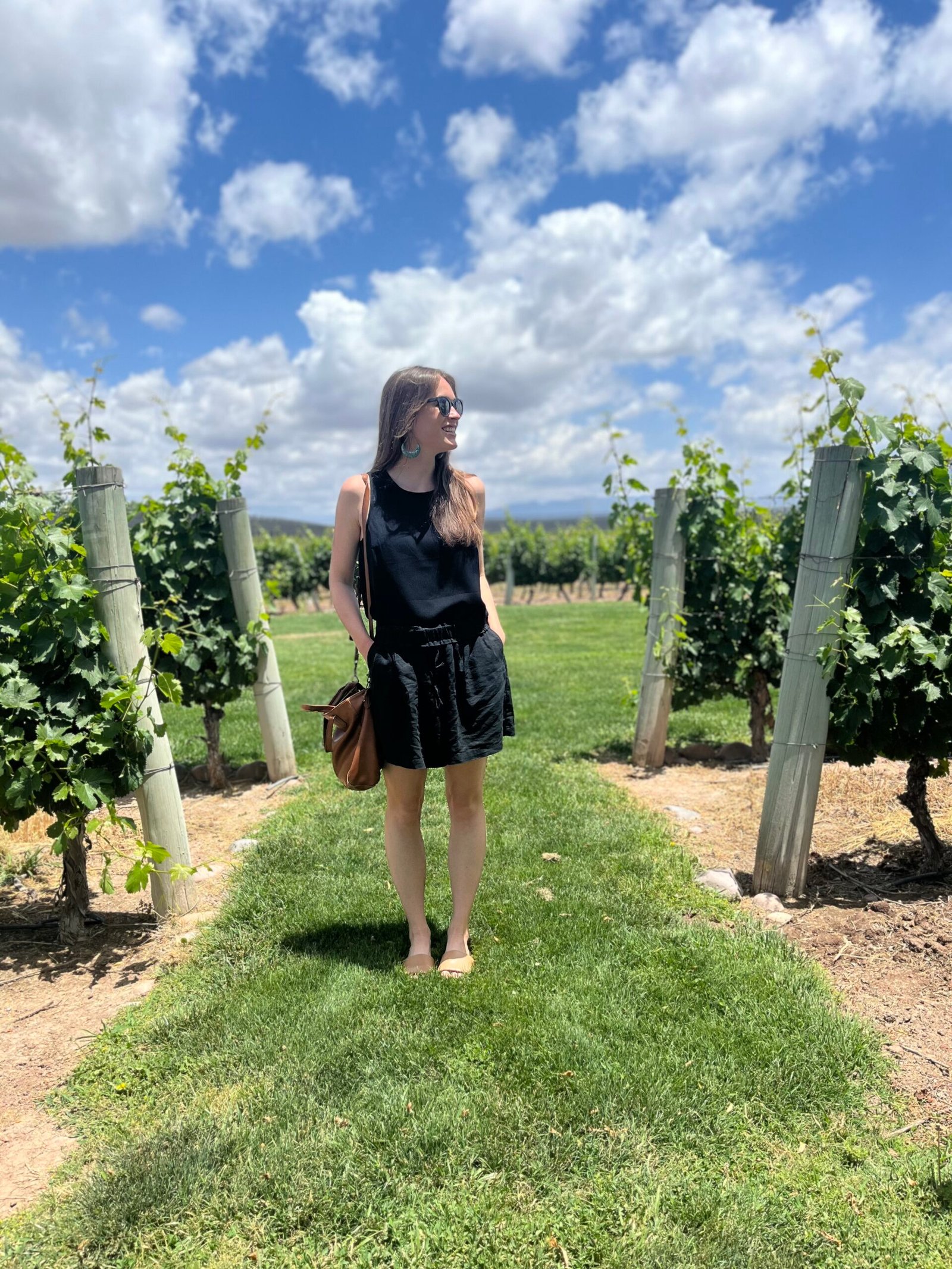 Norton vineyard in Mendoza